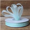 Order  Basics 2 Go Sheer Ribbon - 9mm Mint